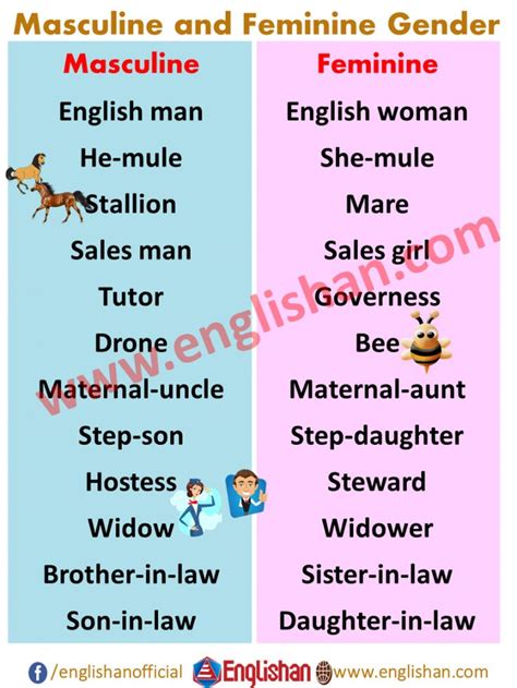 100 Examples Of Masculine And Feminine Gender List Engdic In 2021 Images