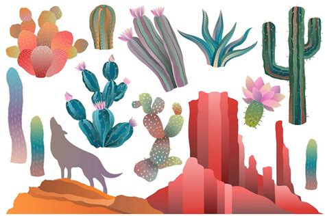 Download High Quality Cactus Clipart Desert Transparent Png Images