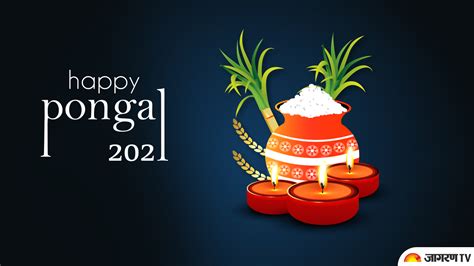 Pongal 2021 Pongal Festival 2021 Date Significance History Pongal Festival Story What Is