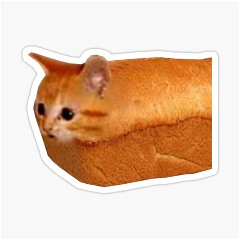 Bread Cat Sticker For Sale By Silasi Redbubble