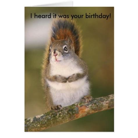 Birthday Greeting Card Squirrel Zazzle