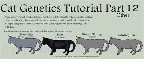 Cat Genetics Tutorial Part 12 Other By Spotted Tabby Cat On Deviantart