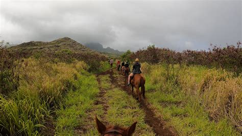 Horseback Riding On Kauai With Cjm Country Stables Ten Digit Grid