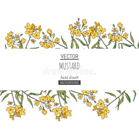 Vector Background With Mustard Branches With Flowers Hand Drawn