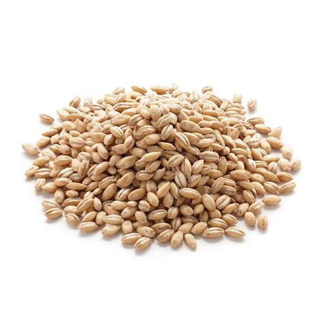 Barley Grain For Sprouting Organic Go Raw Organics