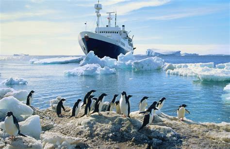 Ask Lp How Can I Travel To Antarctica Lonely Planet