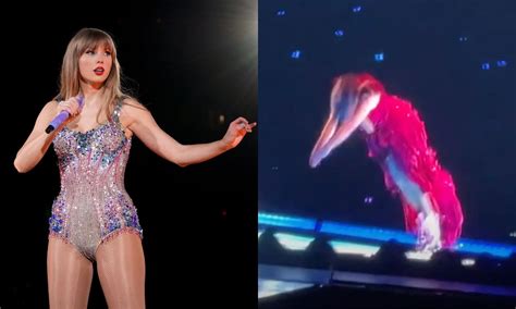 the eras tour taylor swift gags fans with shock stage dive trick
