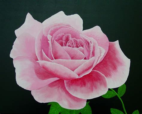Artzipper Paintings Oil Pink Rose 20 X 16 By Jim Young
