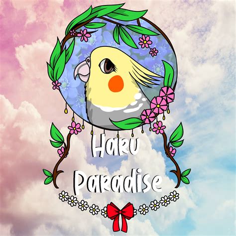 Haru Paradise Store Viña Del Mar