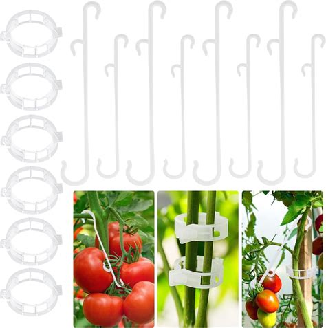 Sanou Tomatenhaken 100stk Tomato Hooks Mit 60stk Tomatenclips Tomaten