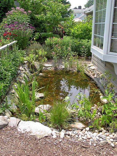 Small Garden Wildlife Pond Design Ideas