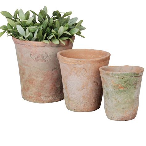 Set Of Terracotta Plant Pots By Idyll Home Ltd