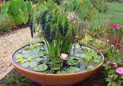 39 Best Creative Garden Container Ideas And Designs For 2017