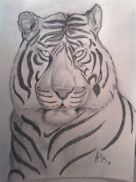 Dibujos De Tigres Hechos A L Piz Entra Para Admirarlos