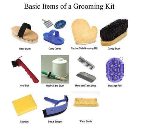Basic Grooming Kit Horse Grooming Kit Horse Grooming Supplies