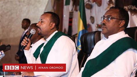 Olaantummaan Oromoo Dagaagaa Jiraa Bbc News Afaan Oromoo