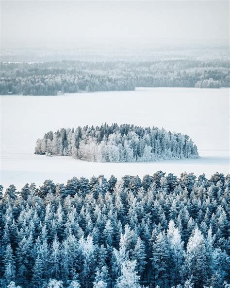 Finland Winter Scenes Winter Nature Winter Forest