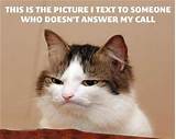 Answer The Phone Cat Photos