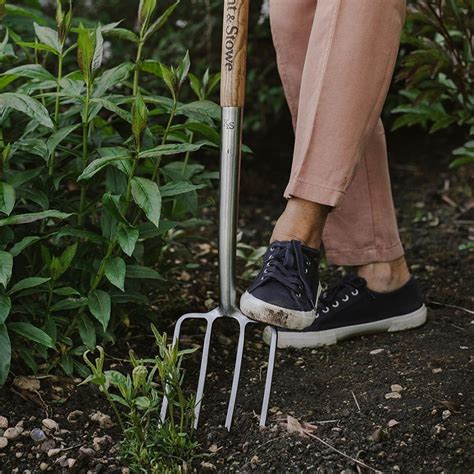 Buy Garden Life Lightweight Digging Fork Delivery By Waitrose Garden