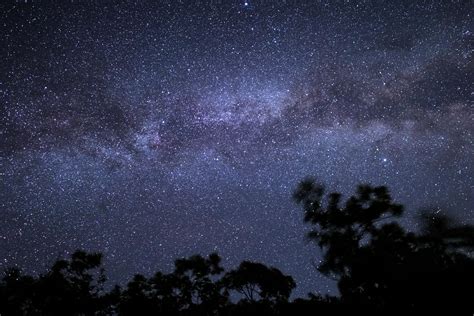 Wallpaper Night Stars Silhouette Sky Trees Hd Widescreen High