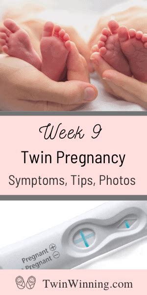 9 weeks pregnant artofit
