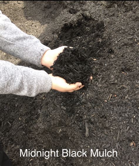 Midnight Black Mulch Bulk Degroots Nurseries
