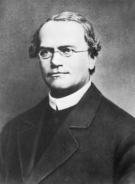 Gregor Mendel Wikipedia
