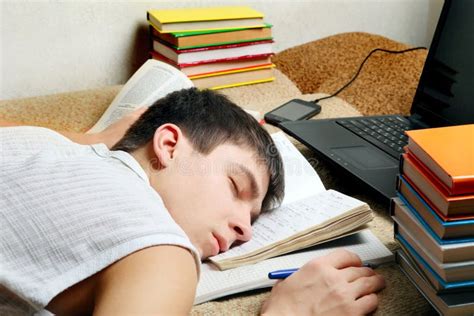 Tired Student Sleeping Stock Photo Image Of Caucasian 44316148