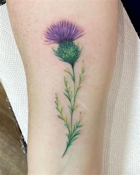 101 Amazing Thistle Tattoo Ideas You Need To See Outsons Mens
