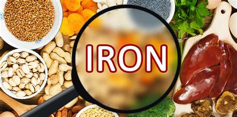 Iron Rich Foods Top Healthy Foods That Are High In Iron