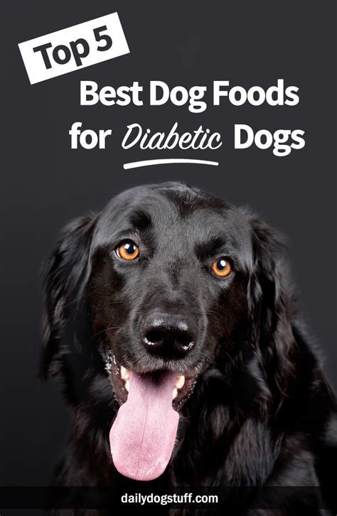 If your dog has been diagnosed with diabetes, you've. Top 5 Best Dog Foods for Diabetic Dogs | Daily Dog Stuff