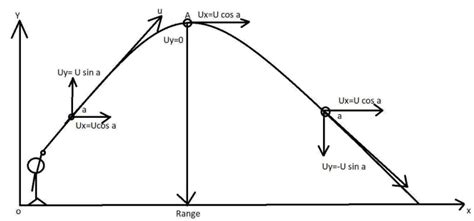 Projectile Motion Diagram With Equations