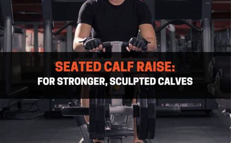 Seated Calf Raises Master This Exercise For Stronger Calves
