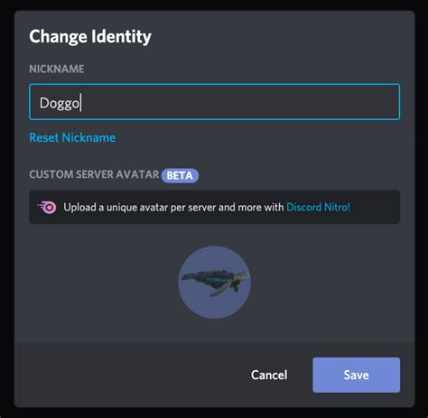 Custom Avatars Per Server With Discord Nitro Rdiscordapp