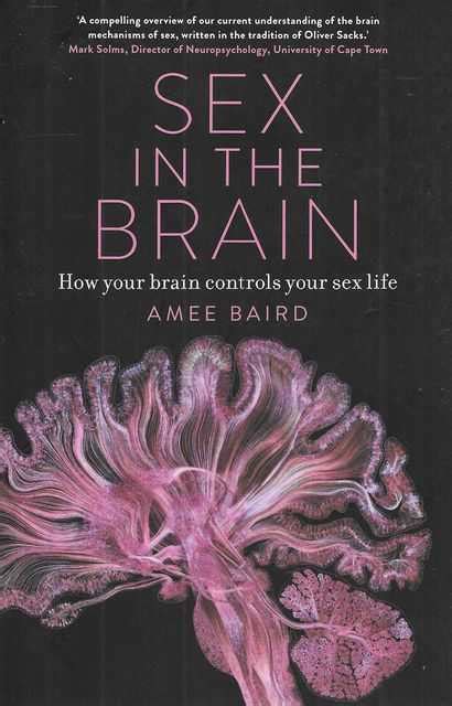 Sex In The Brain How Your Brain Controls Your Sex Life By Amee Baird