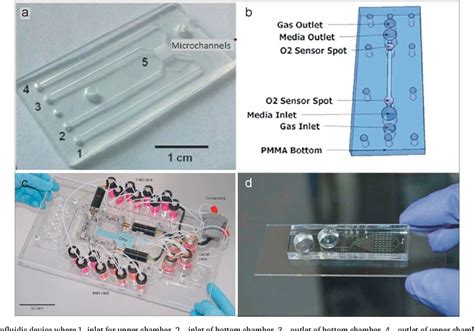 Figure 5 From Microfluidic Platforms For Cell Cultures And