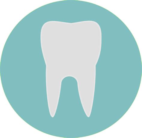 Tooth Clip Art At Vector Clip Art Online Royalty Free