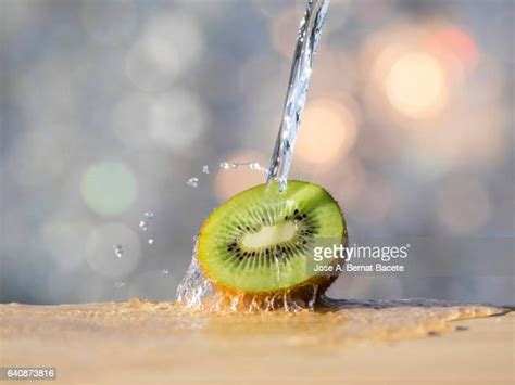 Squirting Water Photos Et Images De Collection Getty Images