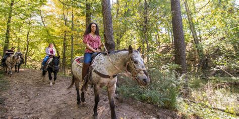 Canyon Creek Riding Stables Wisdells