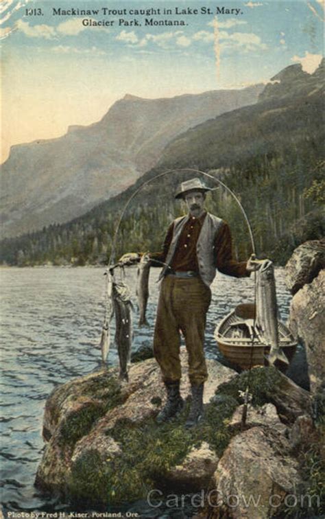 Fishing Mackinaw Trout Caught In Lake St Mary Glacier