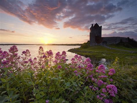 Sunset Over Dunguaire Castle Kinvara County Galway Ireland Irish