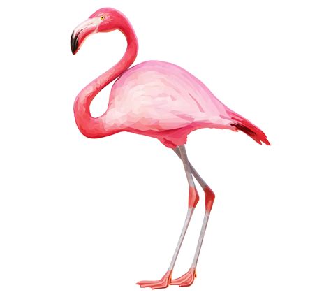 Flamingo Png Transparent Png Mart
