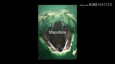 Anaconda Vs Titanoboa Youtube