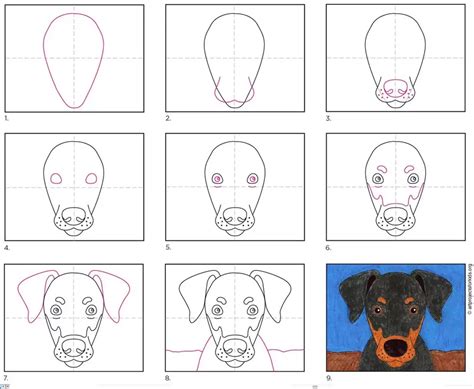 How To Draw A Doberman Dog · Art Projects For Kids Williams Tudder
