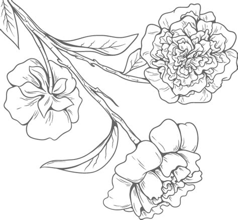 Floral Design Black And White Fresh Flowers Vector Image Png Download
