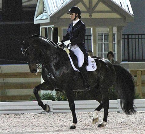 Adrienne Lyle 2nd Highest Usa Scoring Rider So Far In 2012 With Wizard