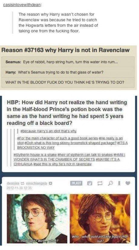 Reasons Why Harry Isn T In Ravenclaw Harry Potter Obsession Harry Potter Memes Harry Potter Love