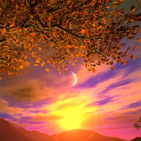 Autumn Sunset Amazing Pinterest