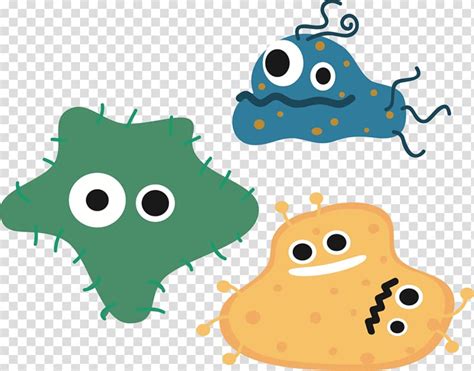 Download High Quality Bacteria Clipart Realistic Transparent Png Images