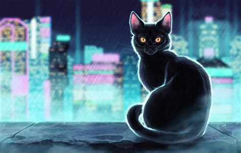 Black Cat Art Illustration Wallpaper Archwoodnrtk